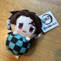 鬼滅の刃　ぴょこぬい　竈門炭治郎