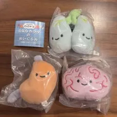 FANS にんげんのからだぬいぐるみ 3種セット - メルカリ