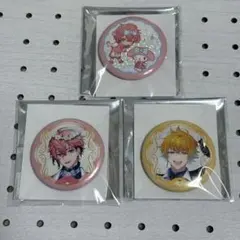 る*る様 オリエンス　サンリオコラボ　缶バッジセット
