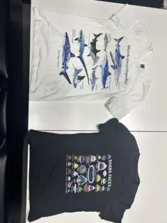 SHEIN サメ柄 Tシャツ 2장 세트