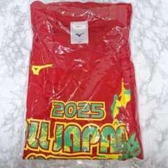 Item thumbnail for item 4d159dd4-d45a-4dd4-9853-bd9969caa66e