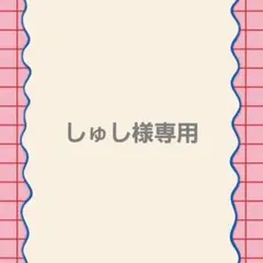 しゅし様専用ページ
