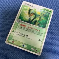 ジュカイン プロモ 063/PCG-P 希少 PROMO レア コレクション - メルカリ
