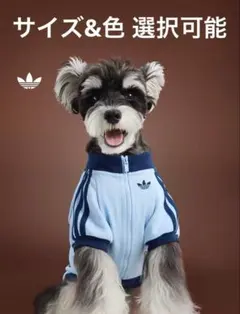 2026年最新】adidas 犬服・アクセサリーの人気アイテム - メルカリ
