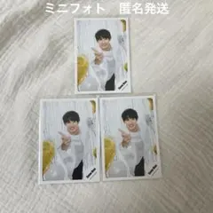 匿名発送　SnowMan 向井康二　ミニフォト　グリーティングフォト　公式写真