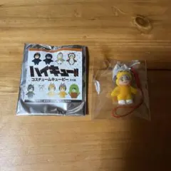 ハイキュー‼︎ コスチュームキューピー　宮治