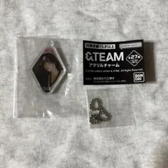 &TEAM アクリルチャーム ガチャガチャ NICHOLAS