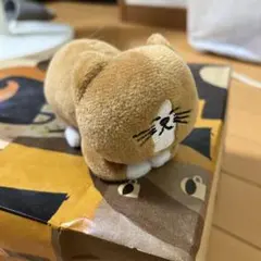 ぽん太　　鴻池剛　猫 ぬいぐるみ マスコット