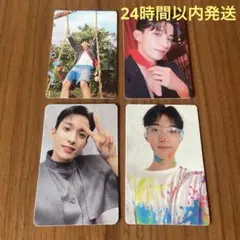 seventeen セブチ ドギョム トレカ 封入 ミニカード シーグリ 特典