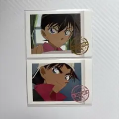 名探偵コナン　工藤新一　服部平次　ぱしゃコレ　ぱしゃこれ　カード　セット
