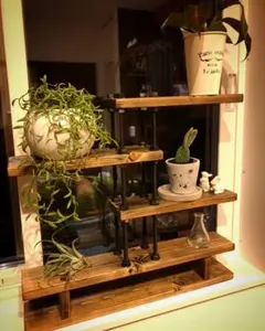 2026年最新】観葉植物 棚の人気アイテム - メルカリ