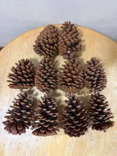 Item thumbnail for item 7bbe2777-b166-49c9-ae11-4b93b982ce19