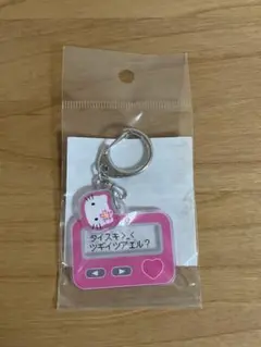 入手困難　希少　レア　ハローキティ　ポケベル　ポケットベル　東京テレメッセージ ポケベル ハローキティ 懐かしいポケットベル レア - メルカリ