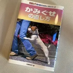 Item thumbnail for item eb95581b-e24a-4e05-9967-6f4b5b6732b8