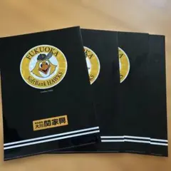 Item thumbnail for item 2ce5c4c5-0367-4894-850f-60995415c1fb