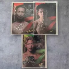 RIZINウエハース　まとめ売り