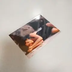 本田美奈子写真