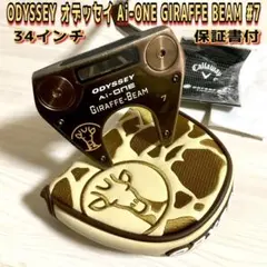 新古 オデッセイ AI-oneジラフビーム GIRAFFE-BEAM DW 33 - メルカリ