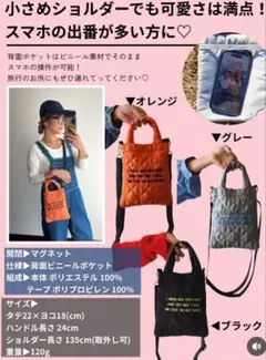 ★新品、未使用★しまむら　刺繍ミニショルダー　Nozomi×aquaistのサムネイル