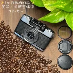 Item thumbnail for item 1531bab3-1ce0-4e97-9a66-f0286bc1ab74