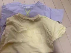 Item thumbnail for item 9f241c9a-dd76-473b-8ae4-12db76e9c1e8