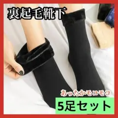 裏起毛 ソックス 5足セット 靴下 レディース 厚手 暖かい 防寒 極暖 こたつ