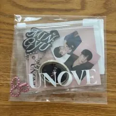 SEVENTEEN ミンギュ 缶バッジ キーホルダー トレカ まとめ売り セット SEVENTEEN ミンギュ 缶バッジ キーホルダー トレカ まとめ売り