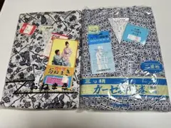 Item thumbnail for item 00febf44-c296-42dd-88ce-01a37e97b951