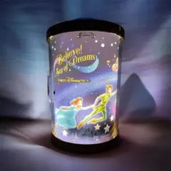 【新品】 ディズニーシー限定 ポップコーンバケット ビリーブ！ Disney