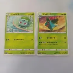 ひかる伝説　フシギダネ　フシギソウ　2枚セット