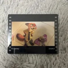 動物方城市壓克力磁鐵