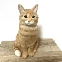 TEDDY PAPA 佐藤真也　デブ猫　テディベア TEDDY PAPA 佐藤真也 デブ猫 テディベア - メルカリ