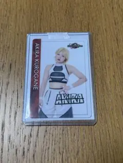 あろえ様 リクエスト 2点 まとめ商品