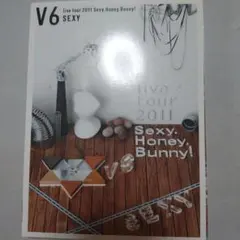 V6/live tour 2011 Sexy.Honey.Bunny! WALK - メルカリ