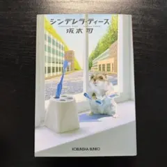 シンデレラ 文学・小説