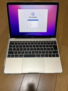 MacBook 12インチ 2015 8GB/512GB 箱・充電器付 - メルカリ