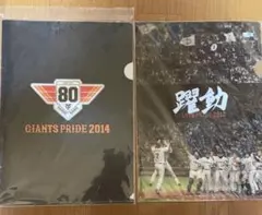 Item thumbnail for item 48f10273-d458-426f-8da5-ab3933c1d197