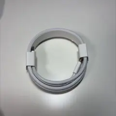 【新品未使用 apple純正】USB-C - USB-C 充電ケーブル 1m