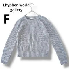 Ehyphen world gallery ニットセーター Fサイズ　ブルー　青