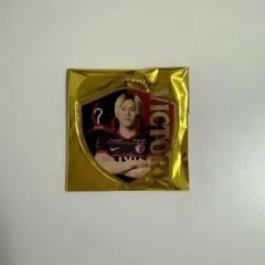 鹿島アントラーズ 勝利時限定 小川諒也