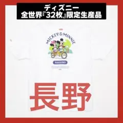 DISNEY MY HOME TOWN COLLECTION 長野 Tシャツ