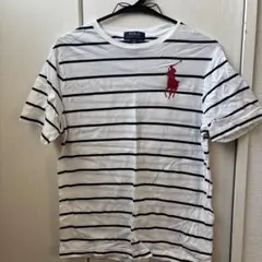 Polo Ralph Lauren ストライプ Tシャツ L