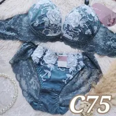 №1766【C75】ラディアントフルール育乳脇高ブラジャー＆バック透けショーツ