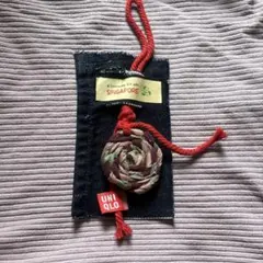 Item thumbnail for item 40f81698-1848-4724-af48-f085290f4c42