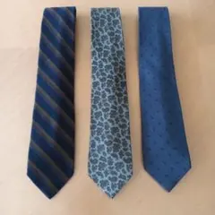 Polo by Ralph Lauren ウールネクタイ3本セット