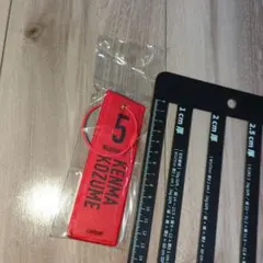 ハイキュー　弧爪研磨　ゴミ捨て場の決戦展 フライトタグ　キーホルダー