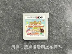 3DS どうぶつの森 ハッピーホームデザイナー