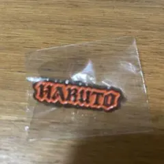 TREASURE ハルト