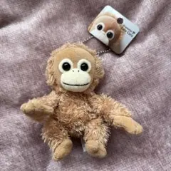 【新品タグ付き】Baby Coco オラウータン　ボールチェーン