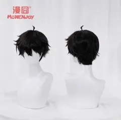 2026年最新】スターレイル コスプレ 丹恒の人気アイテム - メルカリ